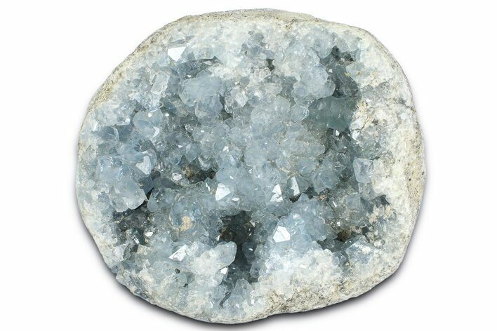 Sparkling Celestine (Celestite) Geode Section - Madagascar #364745